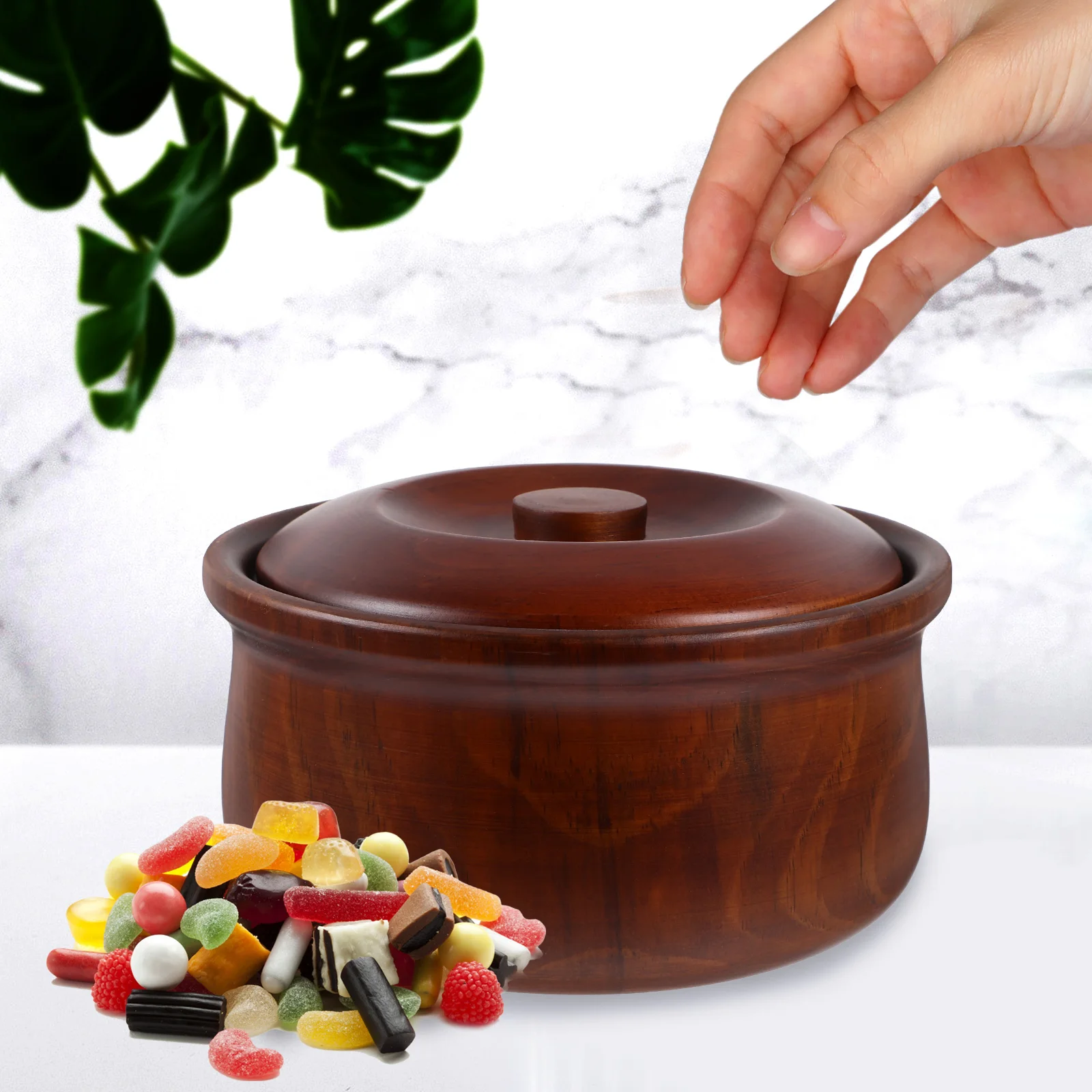

Fruit Plate Snack Box Lid Food Containers with Lids Salad Bowls Lidded Wooden Spice