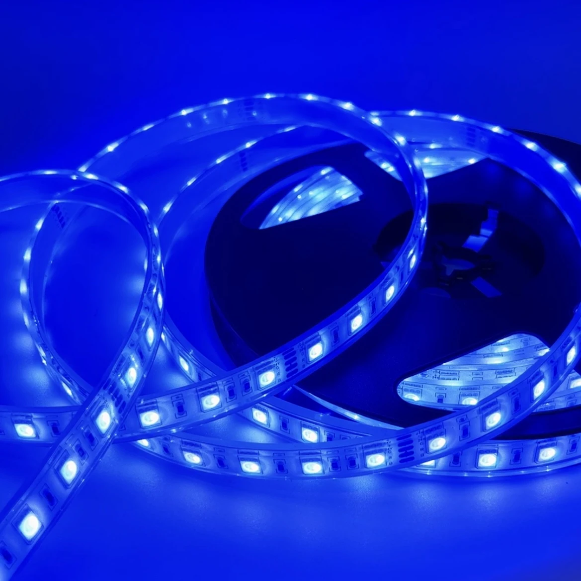 IP68 impermeável RGB LED Strip para piscina, tanque de peixes, luzes sob a água, lâmpada quente, branco, vermelho, azul, verde, 5050, 12V, 24V