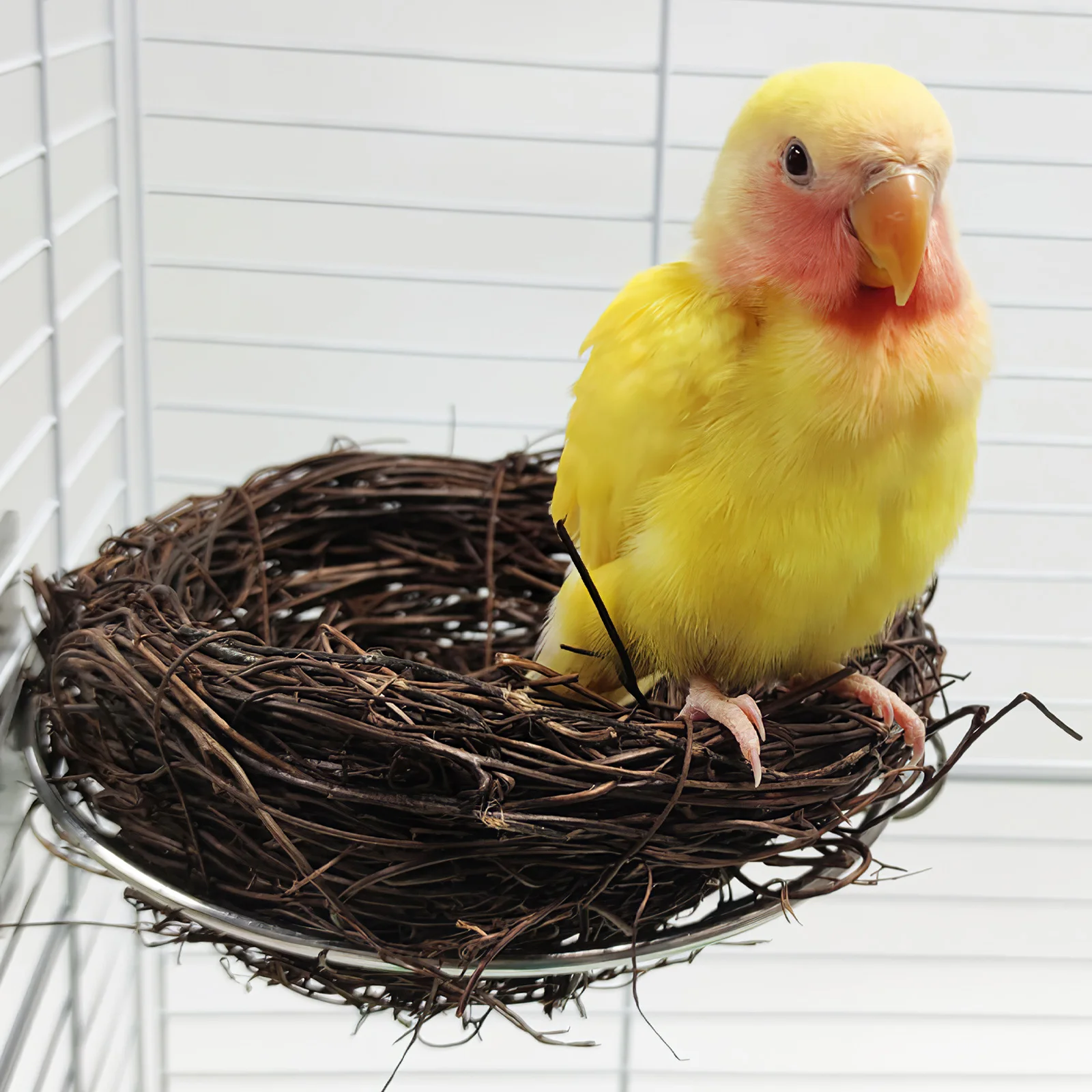 

Handwoven Rattan Bird Nest Woven Parrot Breeding Bed Safe and Warm Sleeping House for Small Birds Decor Bird Nest