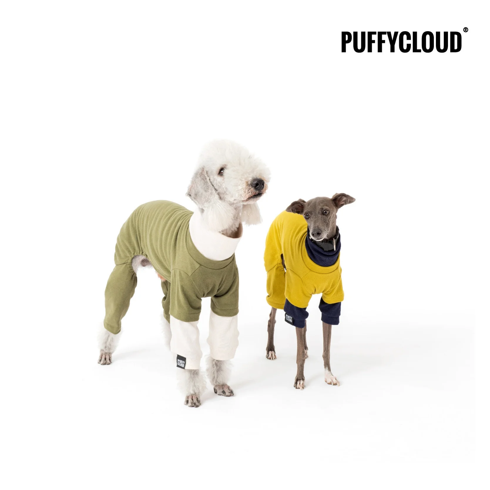 cotton-faux-two-piece-yellow-green-4-legged-turtleneck-jumpsuit-for-italian-greyhound-classic-yellow-cozy-home-wear-for-whippet