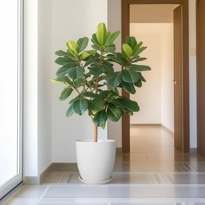 Doniczka ceramiczna 30 cm, duża doniczka z otworem drenażowym i spodkiem, okrągła doniczka na rośliny do użytku wewnątrz i na zewnątrz, biała