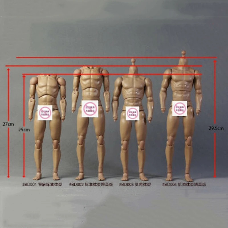 25cm/27cm 1/6 Scale Male Standard Muscle Body BD001/BD002/BD003/BD004 for 12'' Action Figure Model for Hobby Collection Toys Fan