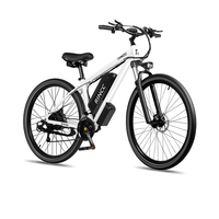 Rincc RN50 Adult Electric Bike, 48V15Ah Electrical Road Bicycle, 29\
