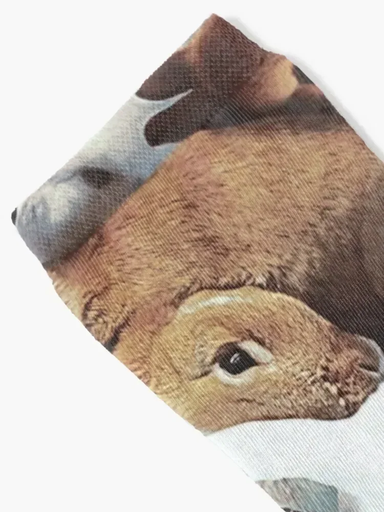 Rabbits Socks colored Thermal man winter designer men cotton high quality Man Socks Women's