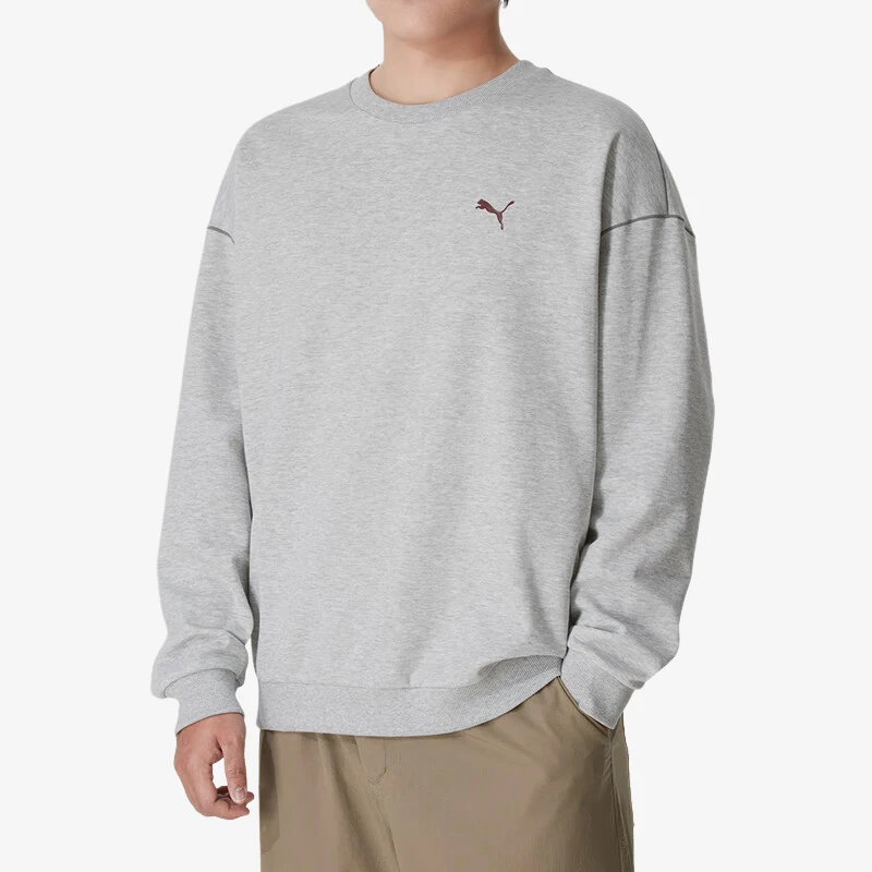 

Оригинальная мужская трикотажная толстовка Puma свободного кроя с длинными рукавами для повседневного спорта 690014-04