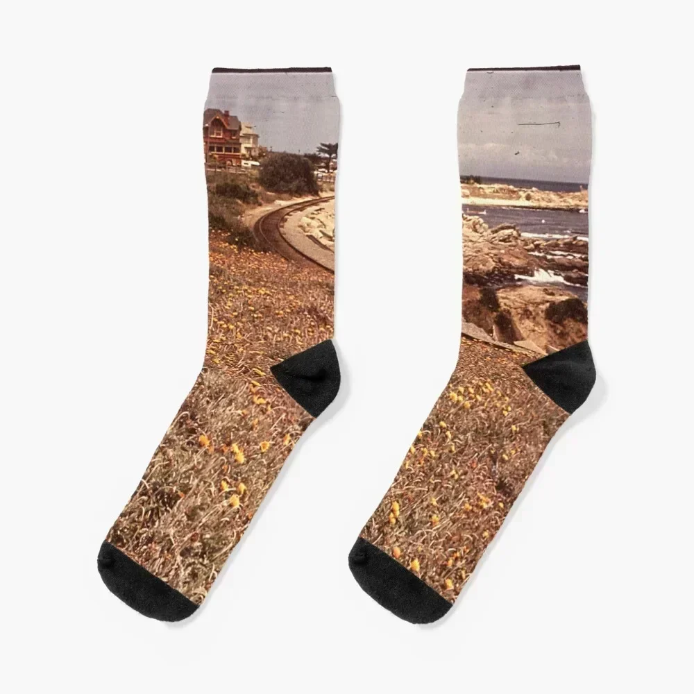

California Pacific Grove NARA 543363 Socks luxury Hiking boots japanese fashion Boy Socks Women's