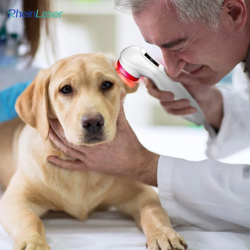 

Powercure Pro 808nm 650nm Veterinary Physiotherapy Cold La ser for Pain Relief Las er Therapy Device
