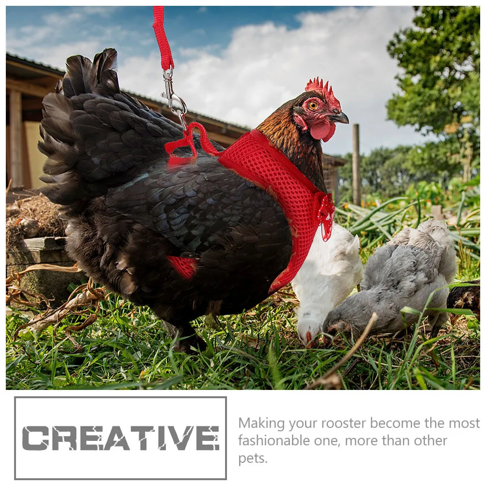 3 مجموعة مقود الدجاجة مجموعة حزام الدجاج الممتاز للحيوانات الأليفة الديك مكافحة خسر الجر حبل المحمولة الدجاج المشي التبعي