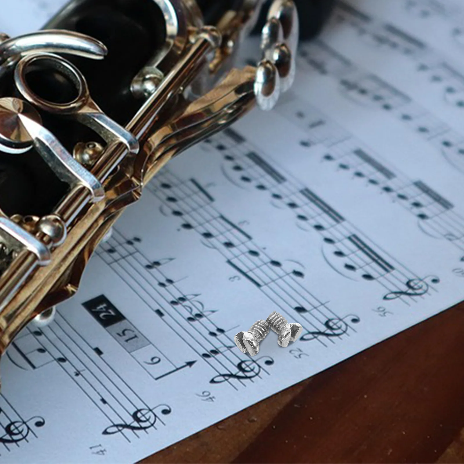 

2Pcs Wind Instrument Repair Screws Stainless Steel for Saxophone Clarinet Maintenance Essential Replacement Parts Musical