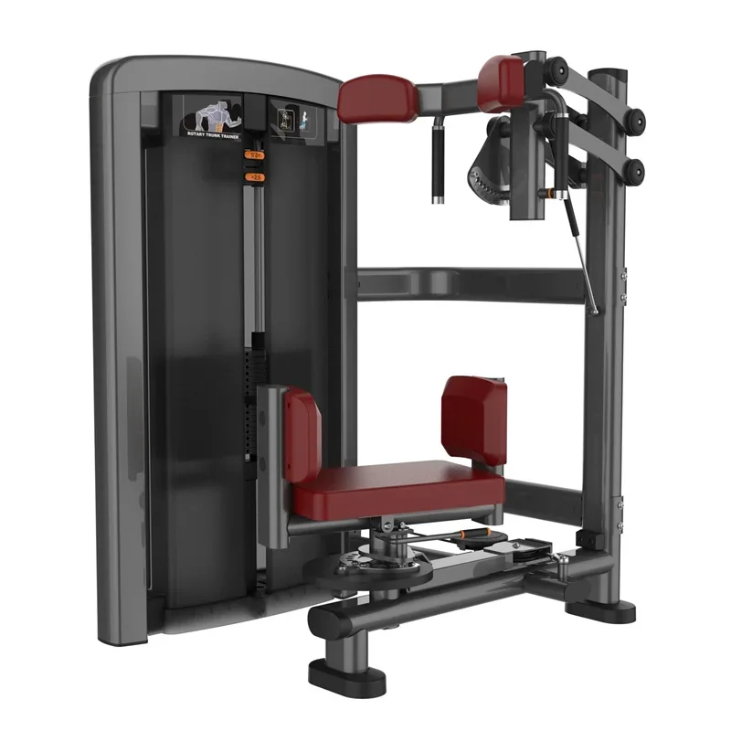 

Sports Exercise Professional Logo Muscle Building Equipment Fitness Machine Rotate Torso