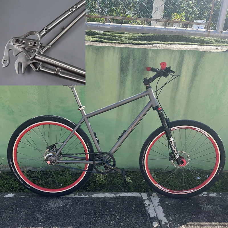 

TIRIS-CRR9 Gravel Bike Frame with Sliding Dropout Gates Belts Drive for Rohloff Internal Gear Bicycle Framework 700C,Custom