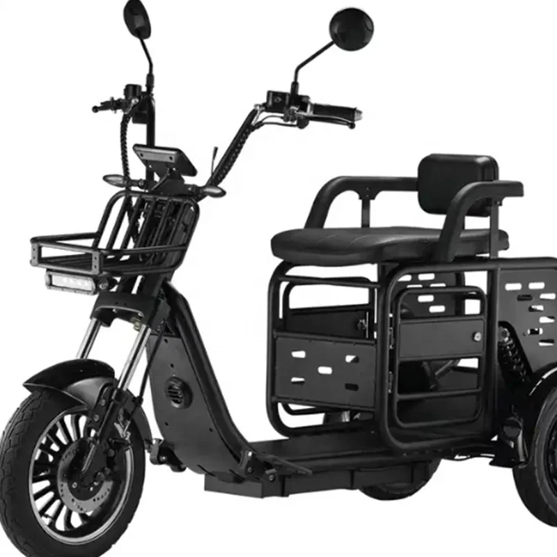 

Pet Scooter Dog Cat Motorcycle 1000w 48v Family Multi-mode 3 Wheel Electric Tricycle