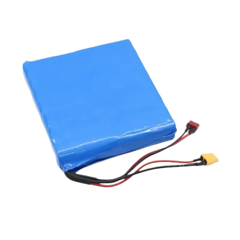 

New 60V 2200mAh 16S1P Self-Balancing Scooter Battery Rechargeable Battery