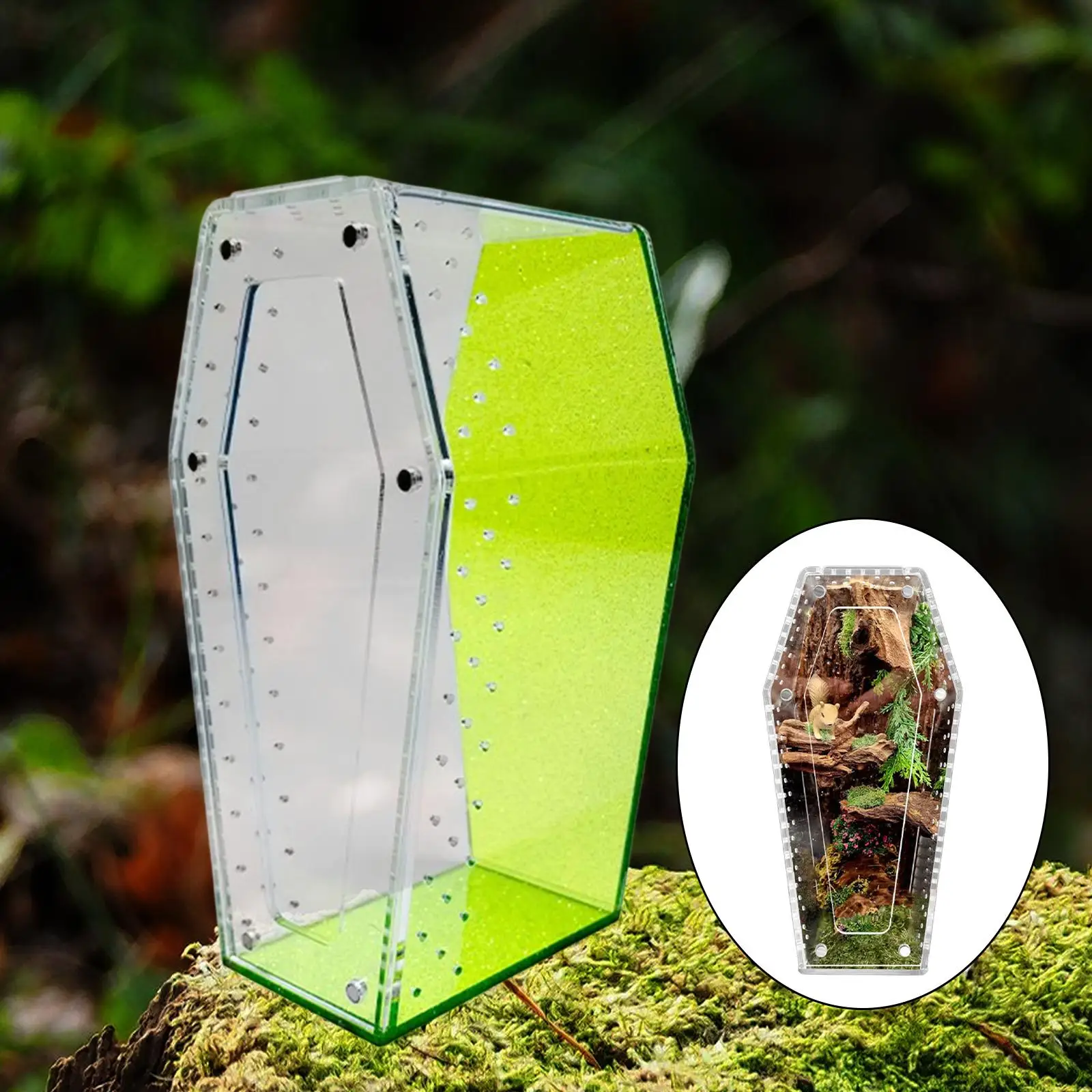 Jumping Spider Enclosure Vivarium Acrylic Reptile Terrarium for Breeding Praying Home Hermit Crab Terrestrial or Arboreal Animal