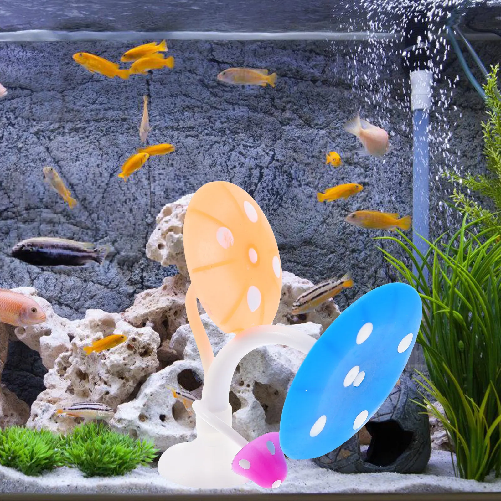 2Pcs Simulation Habitat Betta - Aquarium Fish Betta recension och pris