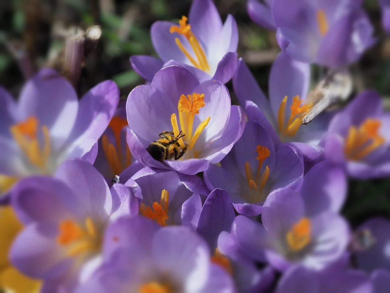 

HOTA T8 Ultra Gallium Nitride GaN AC/DC Smart Charger 8S for LiPo LiHv Battery Fast Balance Charging RC FPV Drone