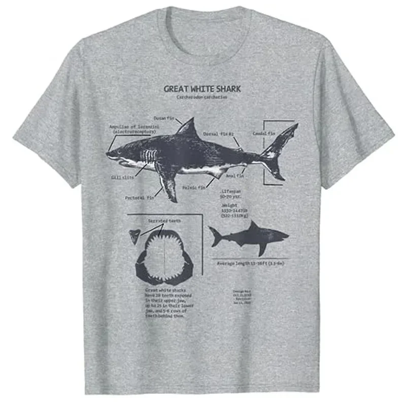 Nautical, Scientific Illustration, Shark Lover Apparel Fishermen Graphic Tee Great White Shark Anatomy, Marine Biologist T-Shirt