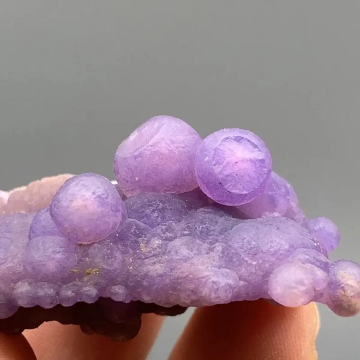 Inner Mongolia Alxa Raw Stone Grape Agate Stone Raw Stone Pearlescent Jade Beautiful Color Collection Display Aquarium Landscape