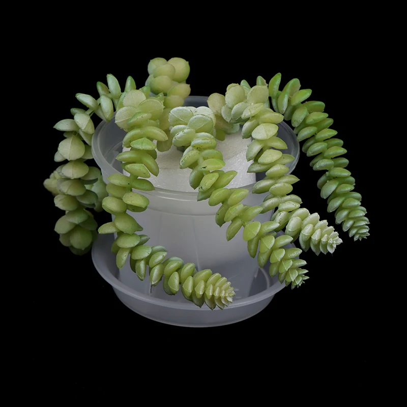 1Pc Clear Flower Pot Planter With Tray 10cm/12cm/14cm PP Transparent Flower Pot Orchid Pot With Holes For Home Office Desk