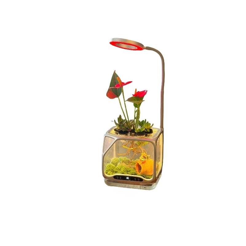 atomizing cultivator, desktop soilless cultivation flower pot can be seen throughout the process DIY small forest oxygen bar