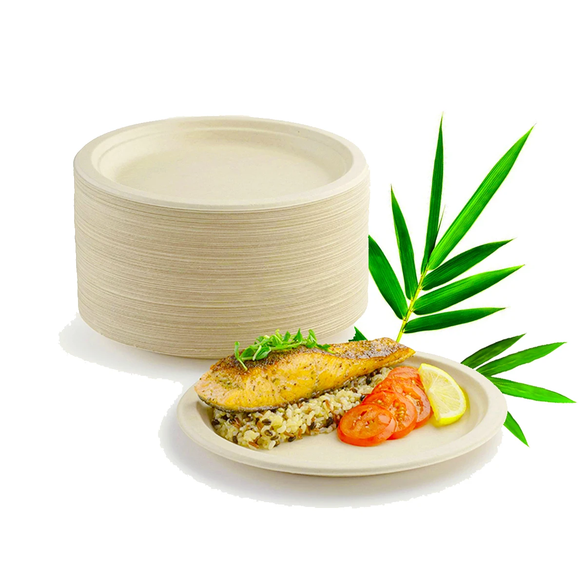 

Platos Picnic Christmas Tableware Set Disposable Biodegradable Bamboo Leaf Plant Tray 9inch 12inch Round Dinner Plate 500pcs