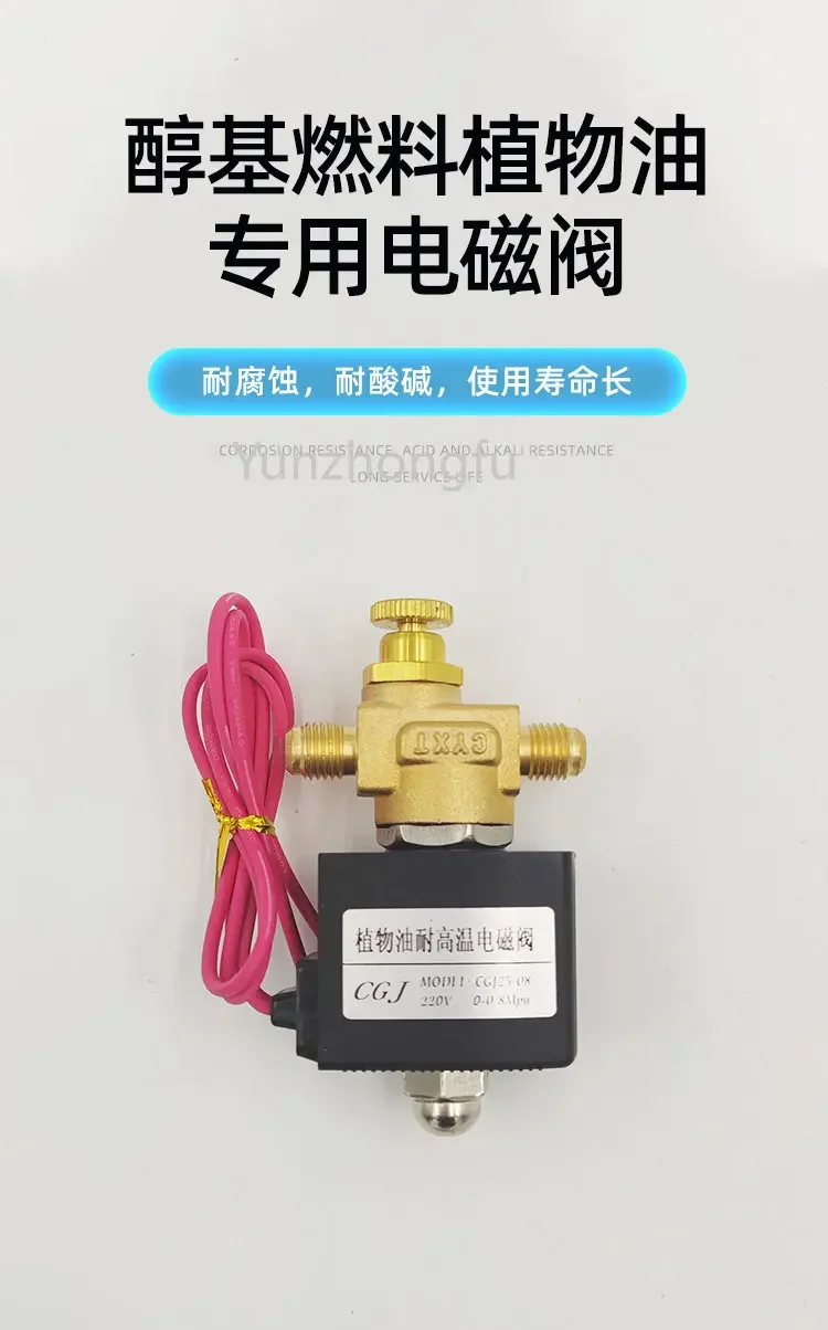 Alcohol-Free Fuel Vegetable Oil 220V Fuel Solenoid Valve Alcohol Solenoid Valve