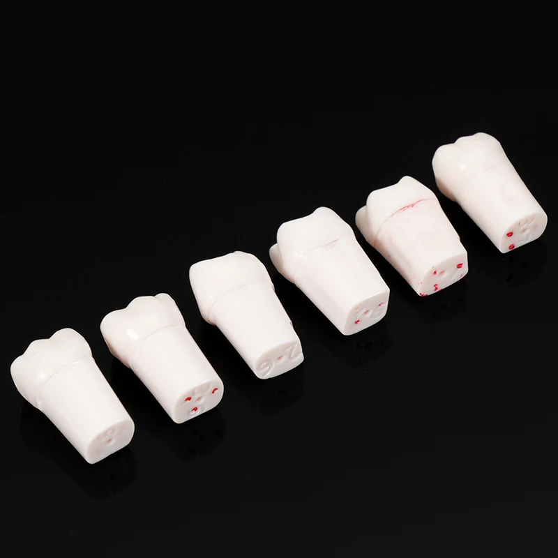 

5pcs Dental Endo Teeth Model Endodontic Root Canal Block Pulp Cavity Resin Study Practice Endodontic Training