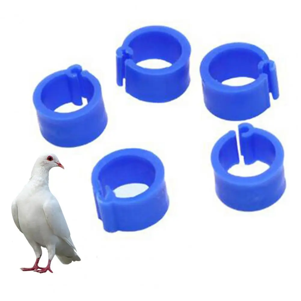 100Pcs Small Parrot Leg Rings Birds Leg Clips Harmless Extensible Plastic Mix Color 8mm Pigeon Foot Ring For Pet Bird Accessory