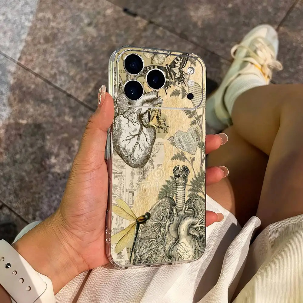 حافظة هاتف تشريح الإنسان للفن الطبي لهاتف آيفون 14,13,12,11,17,16,15,Pro,Max,Plus,X,XS,XR,SE,غطاء ناعم شفاف صغير