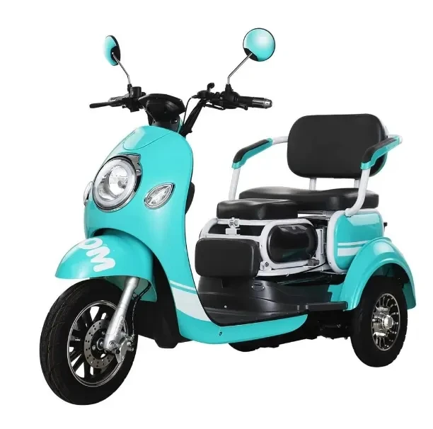 500W 1000W 48V 60V 10 Inch Handicapped Reverse Gear Three Speed Rear Drive ABS Plastic Electric Tricycle Vehicle