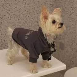 Polyester/Plush Thickened Warm Dog Sweater Soft Comfortable Dog Hoodie Sweatshirt Warm Two-legged Puppy Coat Spring