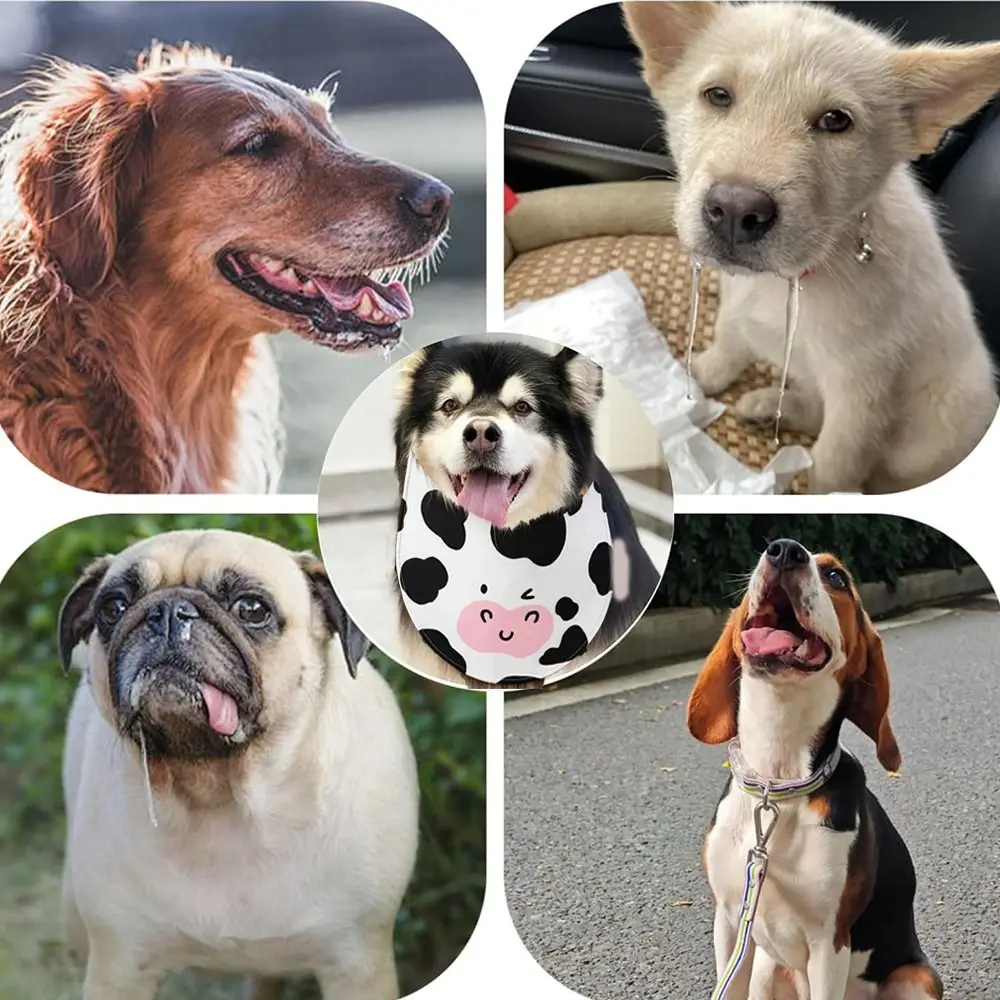 Thumbnail 4 - #47 Best Dog Bandanas to Buy In 2026