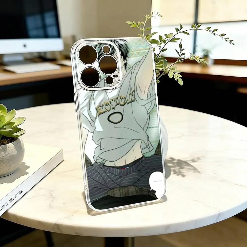 

BL Phone Case For iPhone 17 16 15 14 13 12 11 Mini Pro Max Plus Transparent Cover