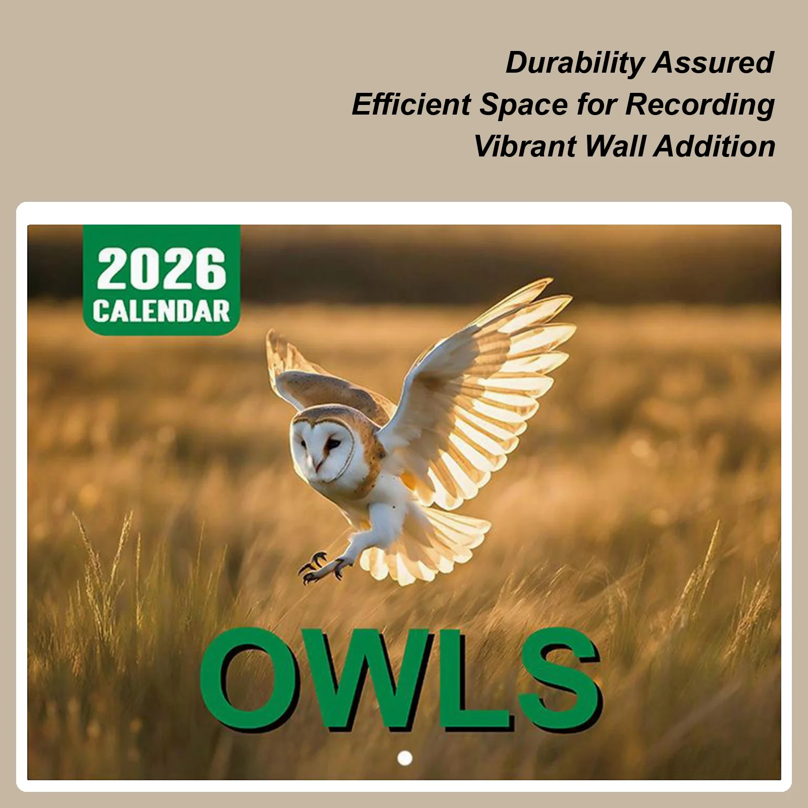 

2026 Wall Calendar 12-Month Owl Calendar Jan Dec 2026 Animal Pattern Planner For Workplace School Gym Scheduling Planning