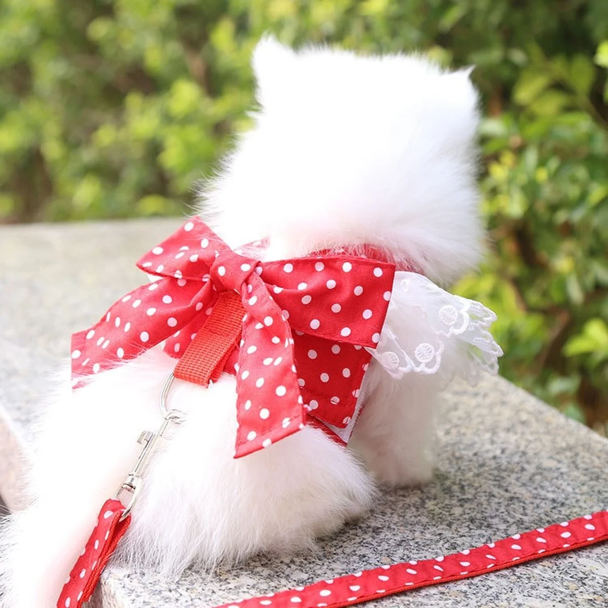 Dog Harness Beautiful Lace Cat Leash Bow Knot Chest Strap Dog Collar Pet Supplies Accessories Dog Leash Red Bow