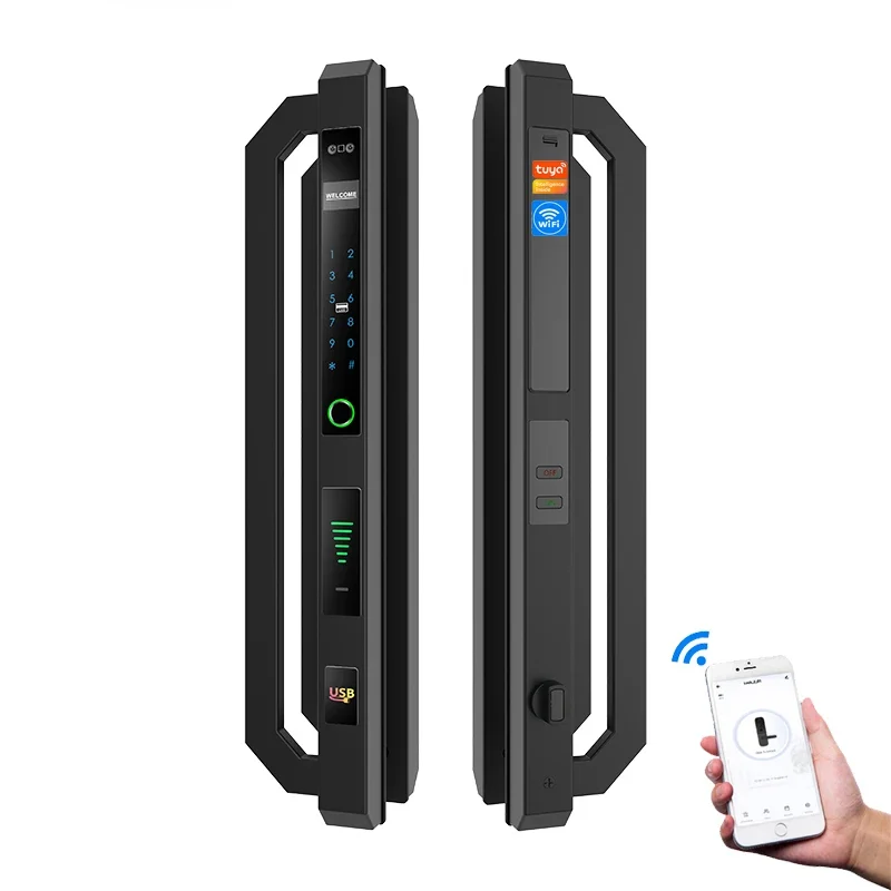 3D Face Recognition Smart Door Lock, Electronic Home Security Keyless Access Smart Lock for Residential Use