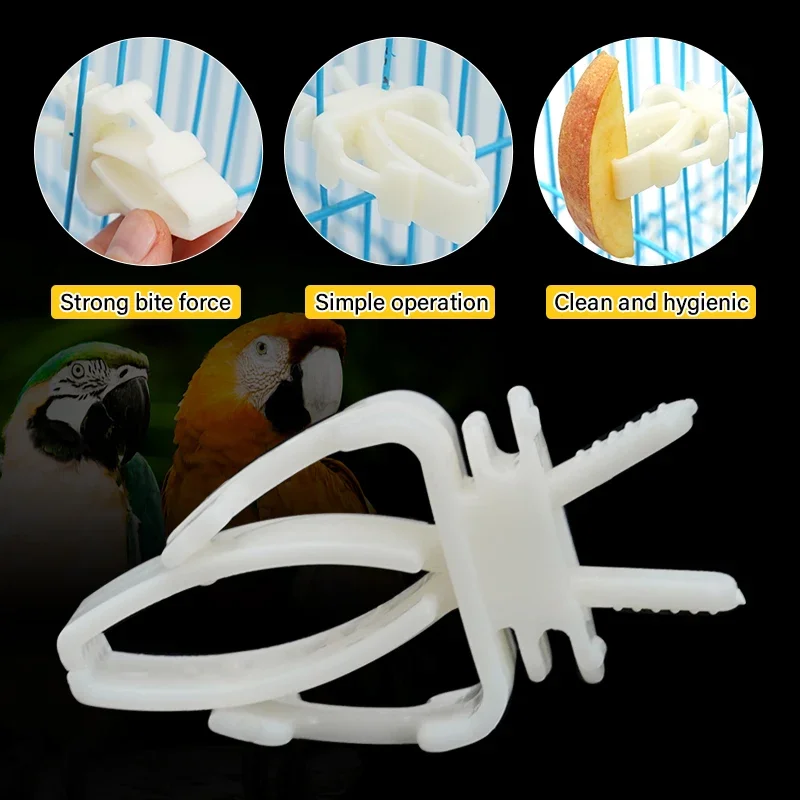 

1Pcs Cute Small Pet Bird Food Holder Parrot Fruits Vegetables Clip Cuttlefish Bone Feeder Device Clamp Bird Cage Accessories