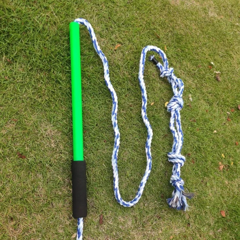 Entrenamiento interactivo, cuerda Molar para perros, caña entrenamiento para perros pequeños y medianos, envío directo