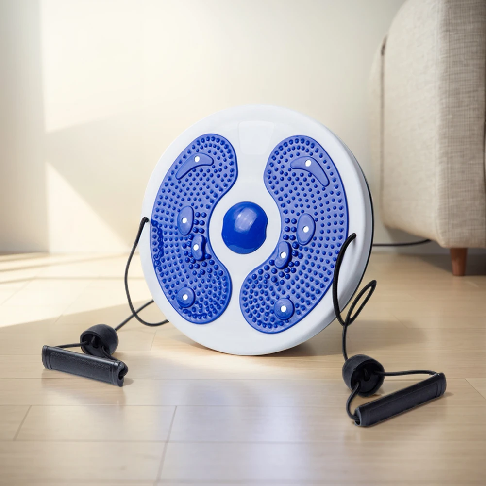Magnetic Waist Twist Board 1