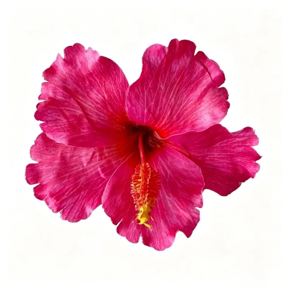 Pinza para el pelo con flor de hibisco artificial, no daña el cabello, estilo bohemio, para flequillo, horquilla de verano
