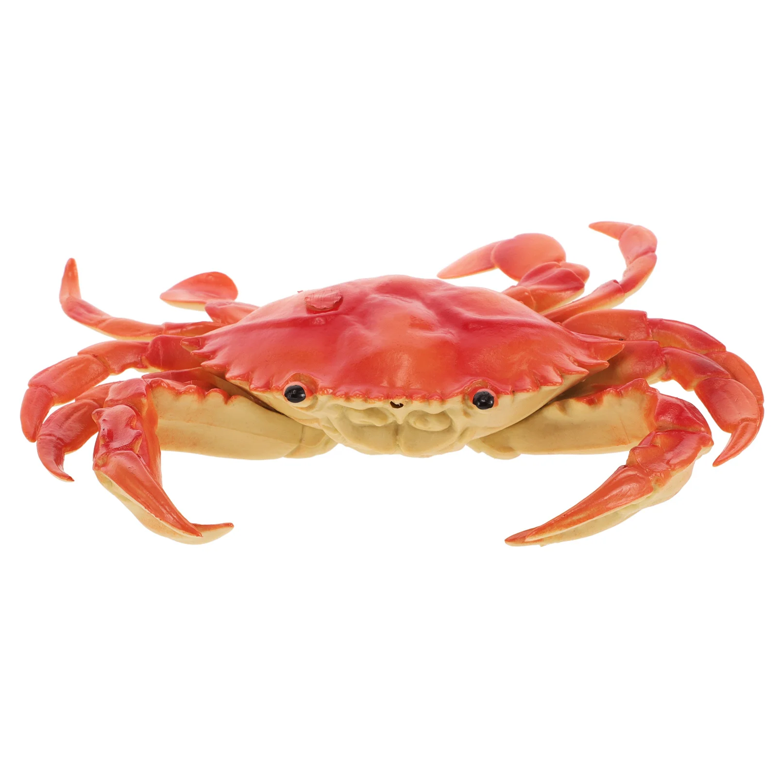 

Realistic Crab Artificial Marine Animal Decoration Sea Simulation Crab Photography Prop Garden Decor Marine Animal Ornament