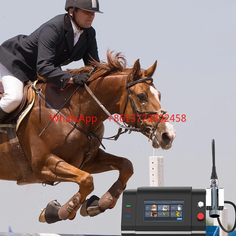 980nm 808nm Class 4  Therapy Device Horse Physiotherapy Rehabilitation Equipment For Pain