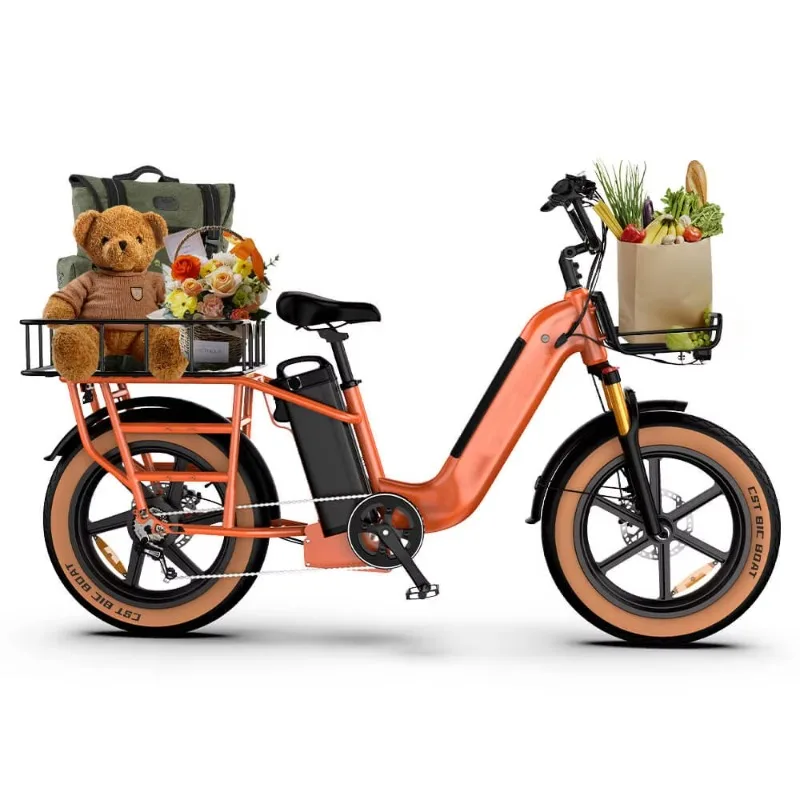

20" Electric Cargo Bike With Fat Tire Off-Road Dual Motor 750w High Powerful Electric Bike Cargo for Food Delivery
