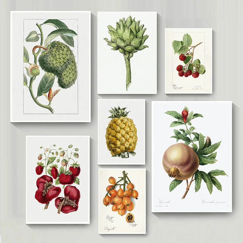 Vintage Botanical Loquat Fruit Pineapple Illustration Poster Artichoke Minimalism Painting Prints Canvas Wall Picture Home Decor