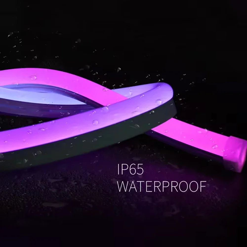 Dreamcolor LED Neon Strip 24V TUYA RGBIC Neon Rope Light Waterproof Chasing Effect Multicolor Flexible Strip WiFi/Remote