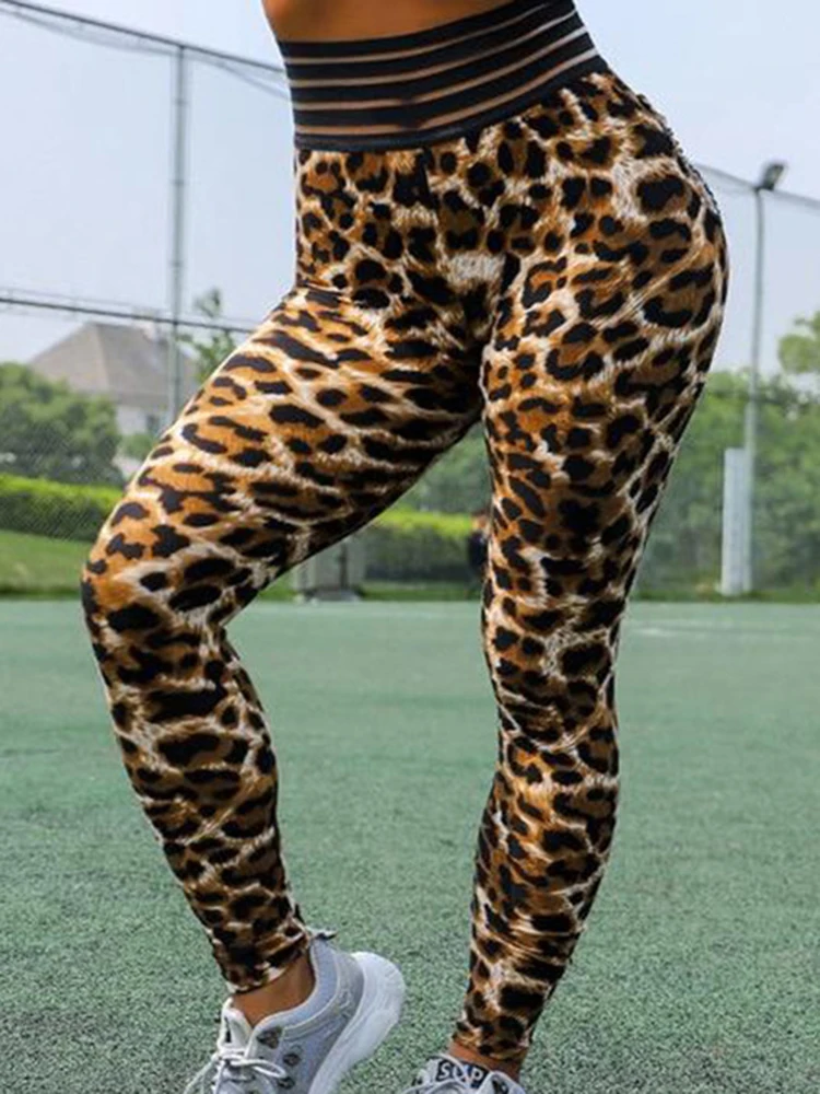 Leopard impresso esportes leggings para as mulheres, cintura alta calças justas, yoga, fitness, ginásio, exercício, corrida, novo