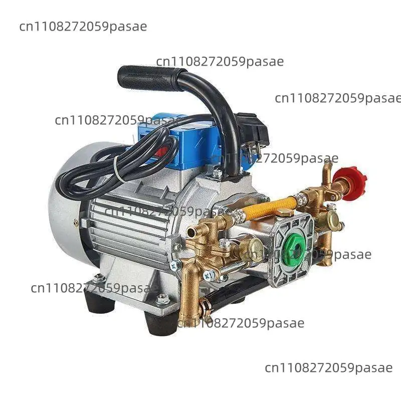 

Electric Garden Sprayer Plunger Pump High Pressure Machine For Household Small Farm Fruit Tree Pesticide Application