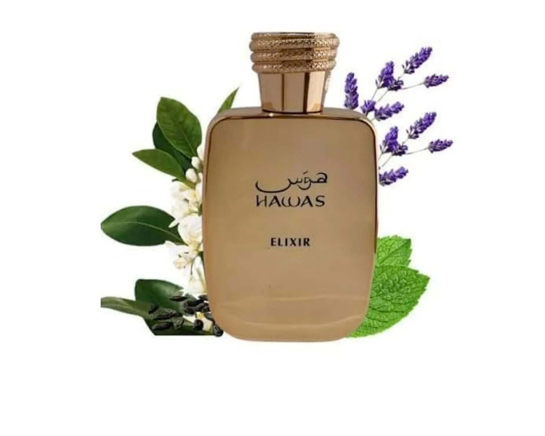 راساسي هاواس إكسير للرجال | ماء تواليت | عطر يدوم طويلاً | للرجال | 3.4 أونصة سائلة (حوالي 3.4 مل) 100 مل #2