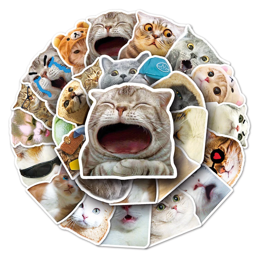 10/30/50pcs Cat Stickers Cartoon Meme Animals Funny Decals Toys DIY Scrapbook Skateboard Laptop Phone Bike Kawaii Kids Sticker