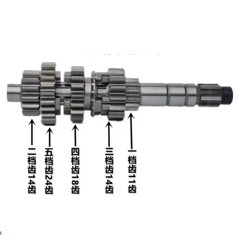 Factory Supply Tricycle Transmission Gear